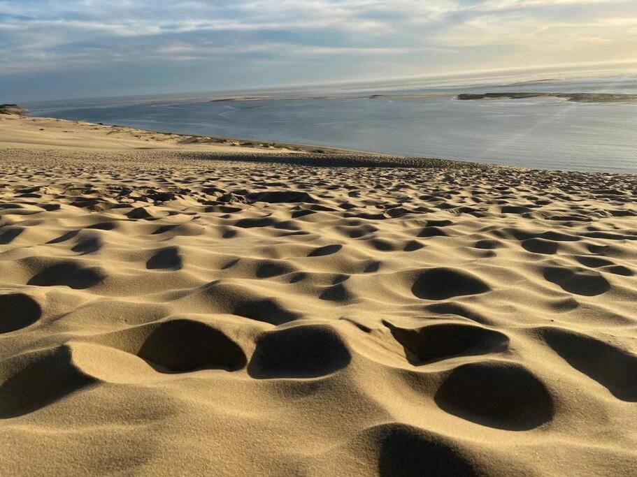 Villa Arcachon 12 Pers Avec Piscine Chauffee 1 Mai Au 30 Sept Εξωτερικό φωτογραφία